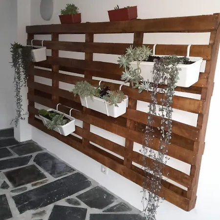 Casa De Baixo اروكا